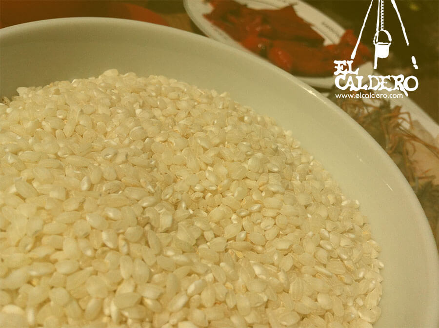 arroz bomba El mejor grano de arroz en El Caldero